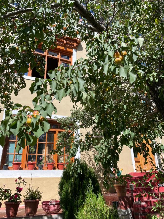 Gaywoo Guest House Leh Buitenkant foto