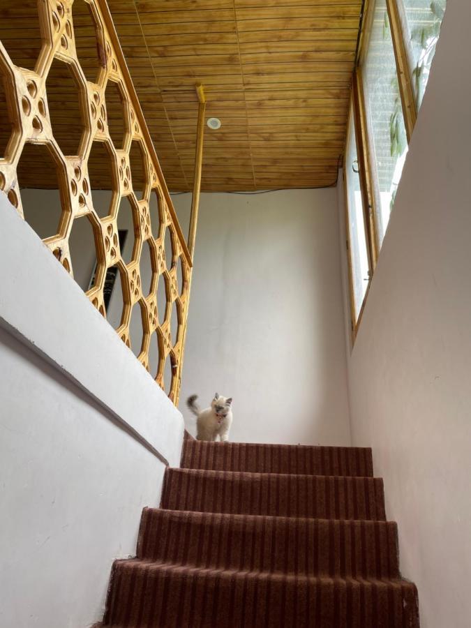 Gaywoo Guest House Leh Buitenkant foto