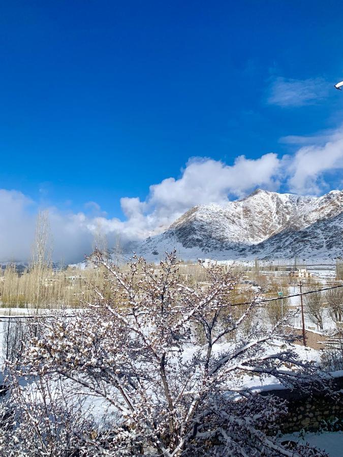 Gaywoo Guest House Leh Buitenkant foto