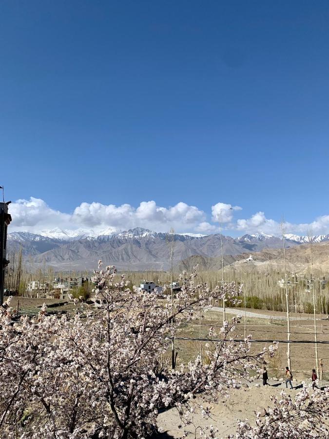 Gaywoo Guest House Leh Buitenkant foto